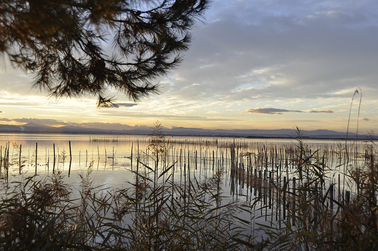 Embarcadero de la Albufera de Valencia al atardecer