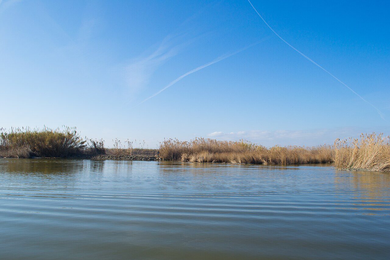 Paisaje de la laguna de la Albufera de València — Parque Natural