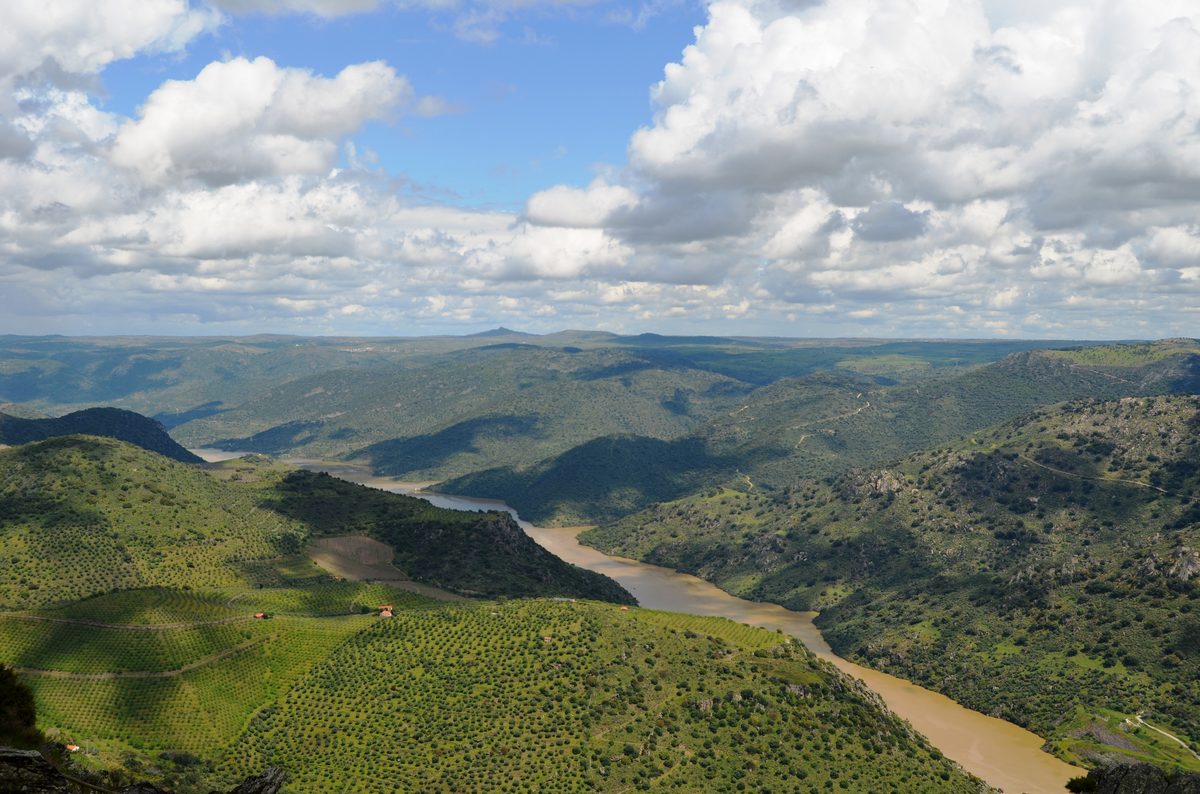 Vista elevada del río Duero en la frontera entre España y Portugal: el valle del Douro con los característicos viñedos en terrazas y gargantas