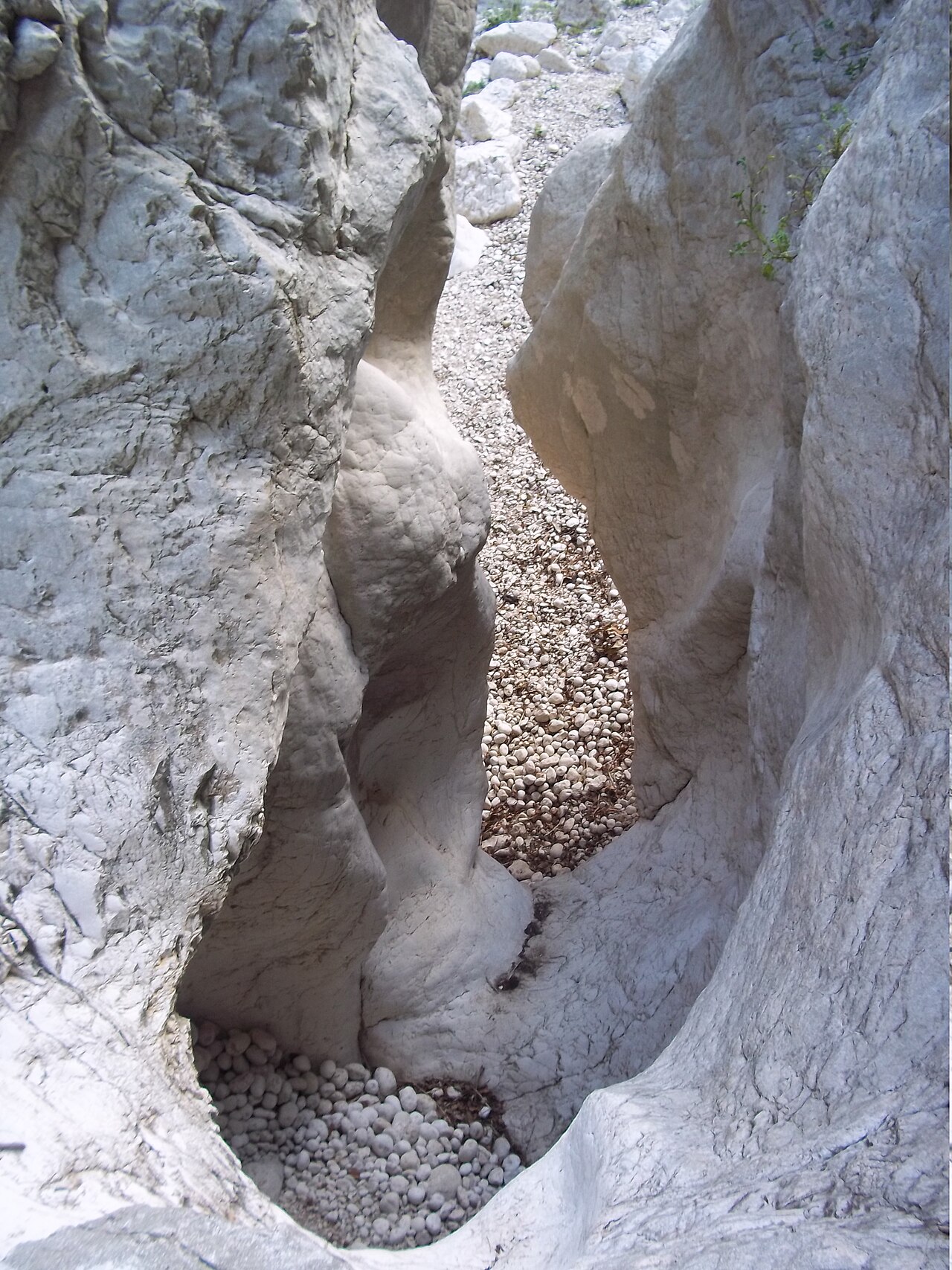 Paredes del Barranc de l'Infern
