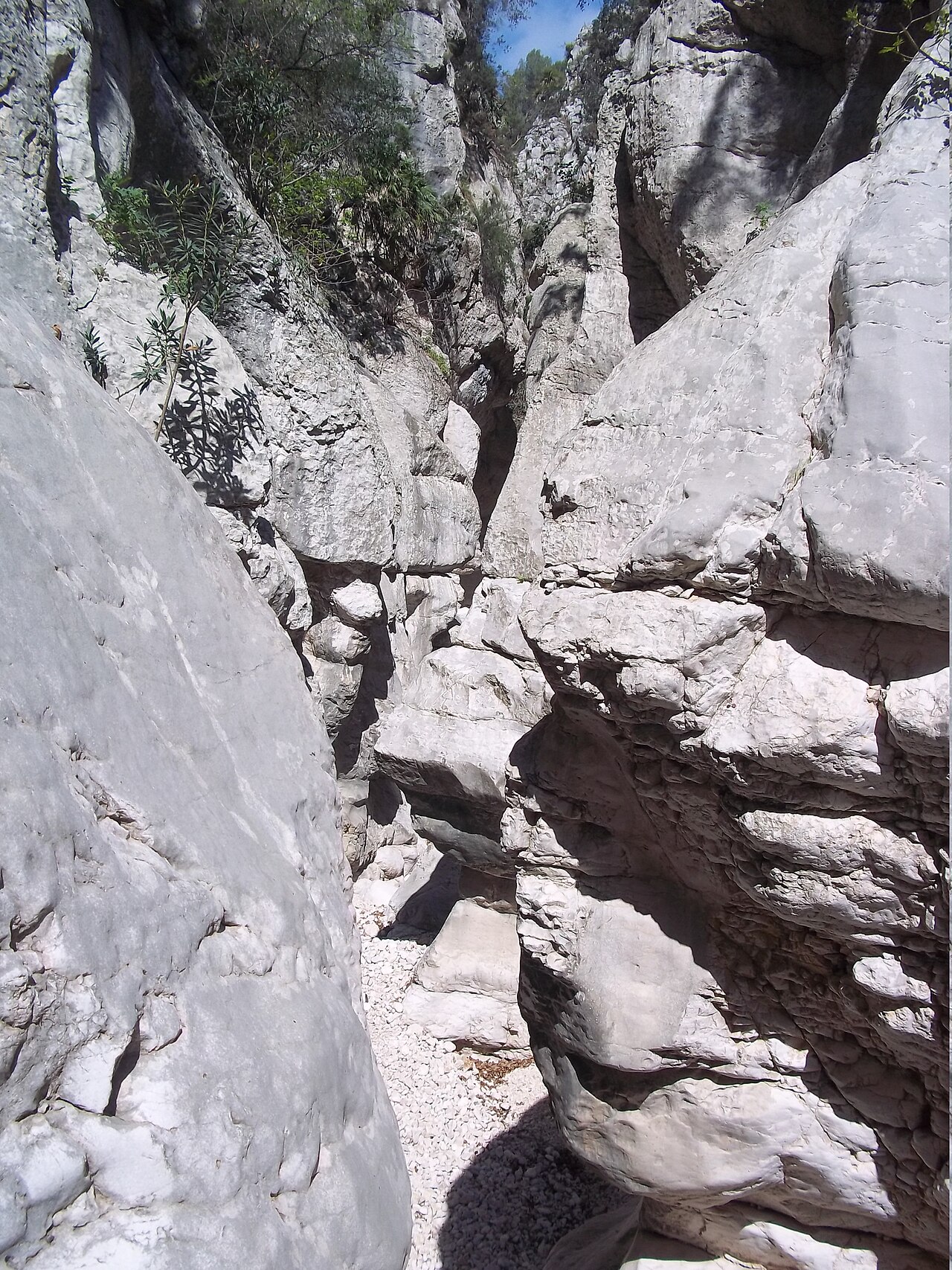 Interior del barranco con el río Girona