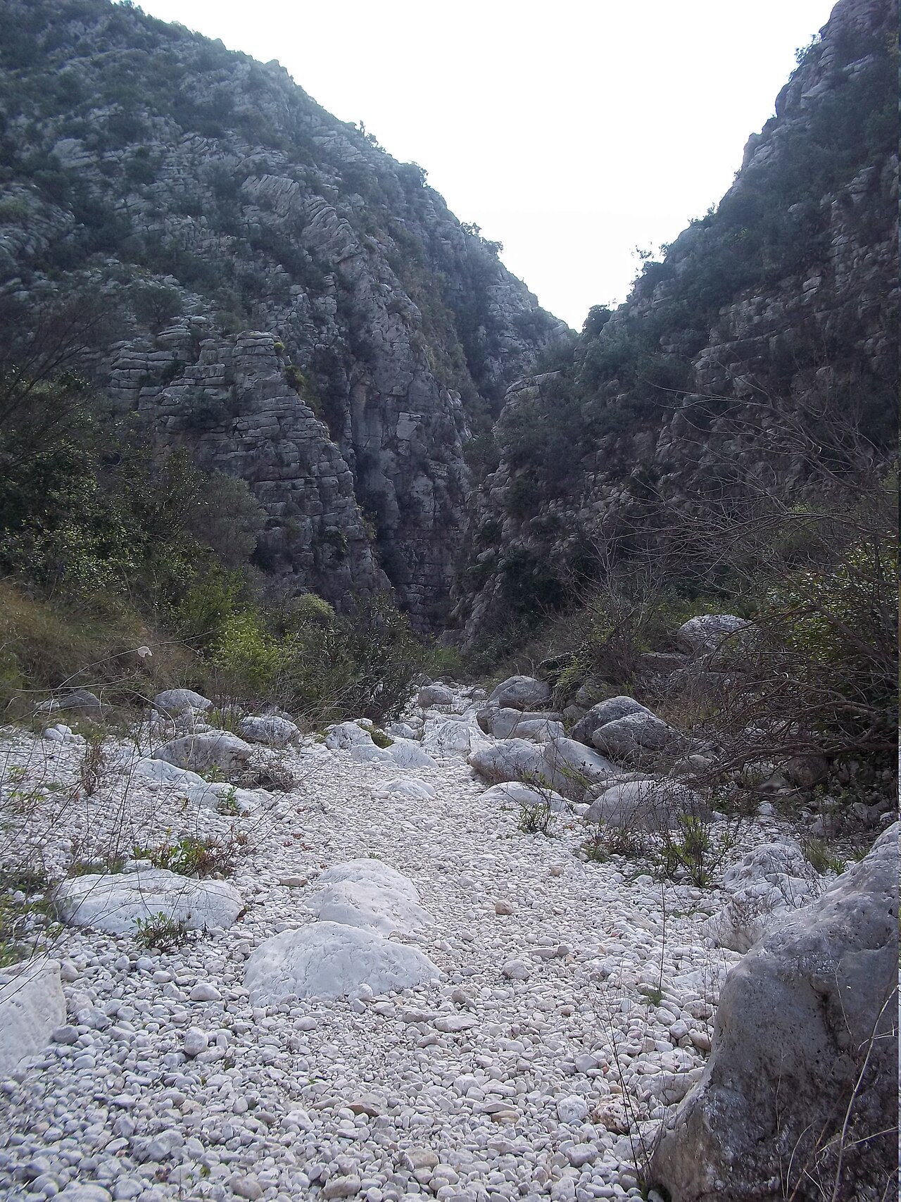 Sendero por el interior del Barranc de l'Infern