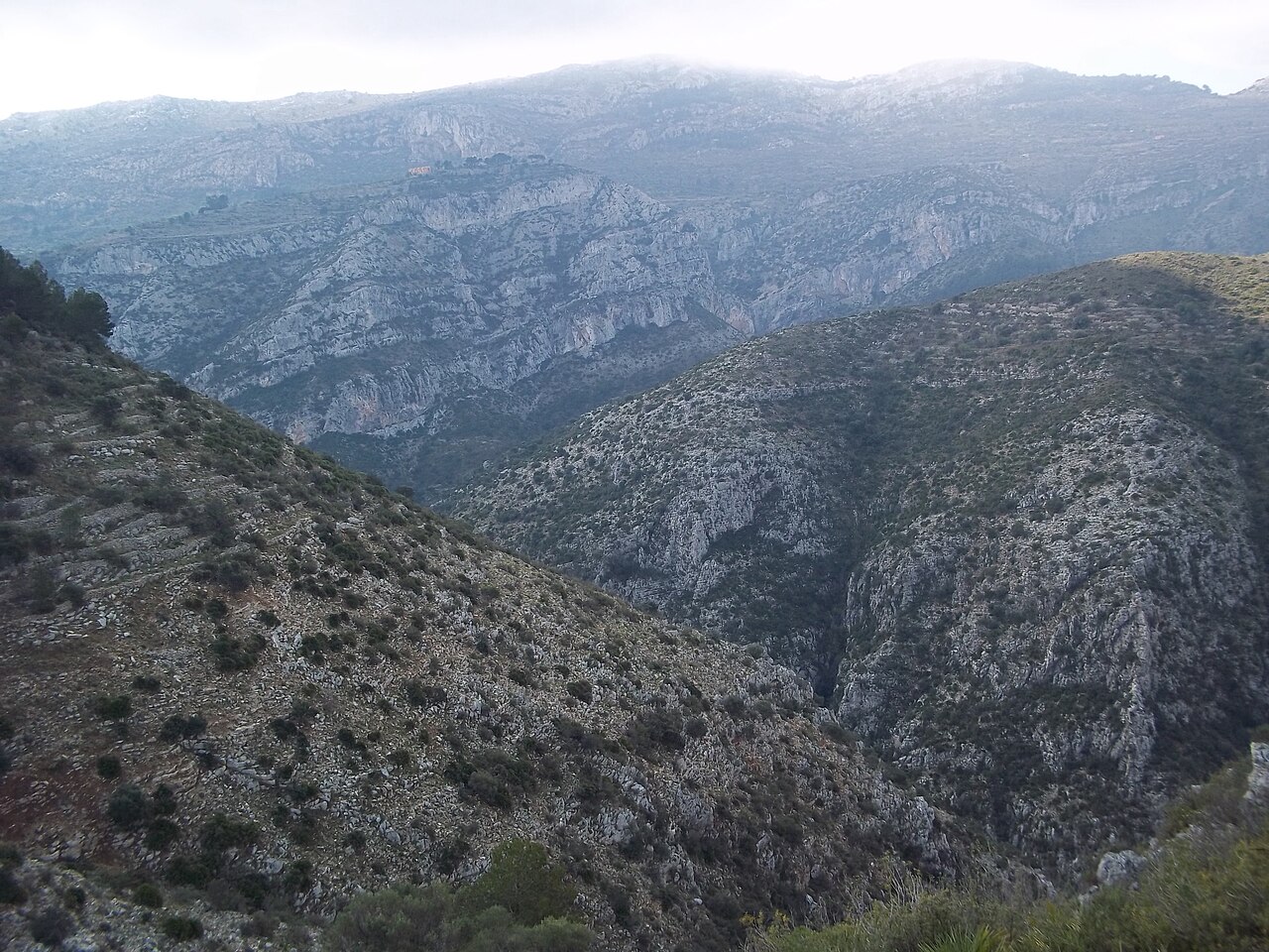 Paisaje del barranco con vegetación y rocas