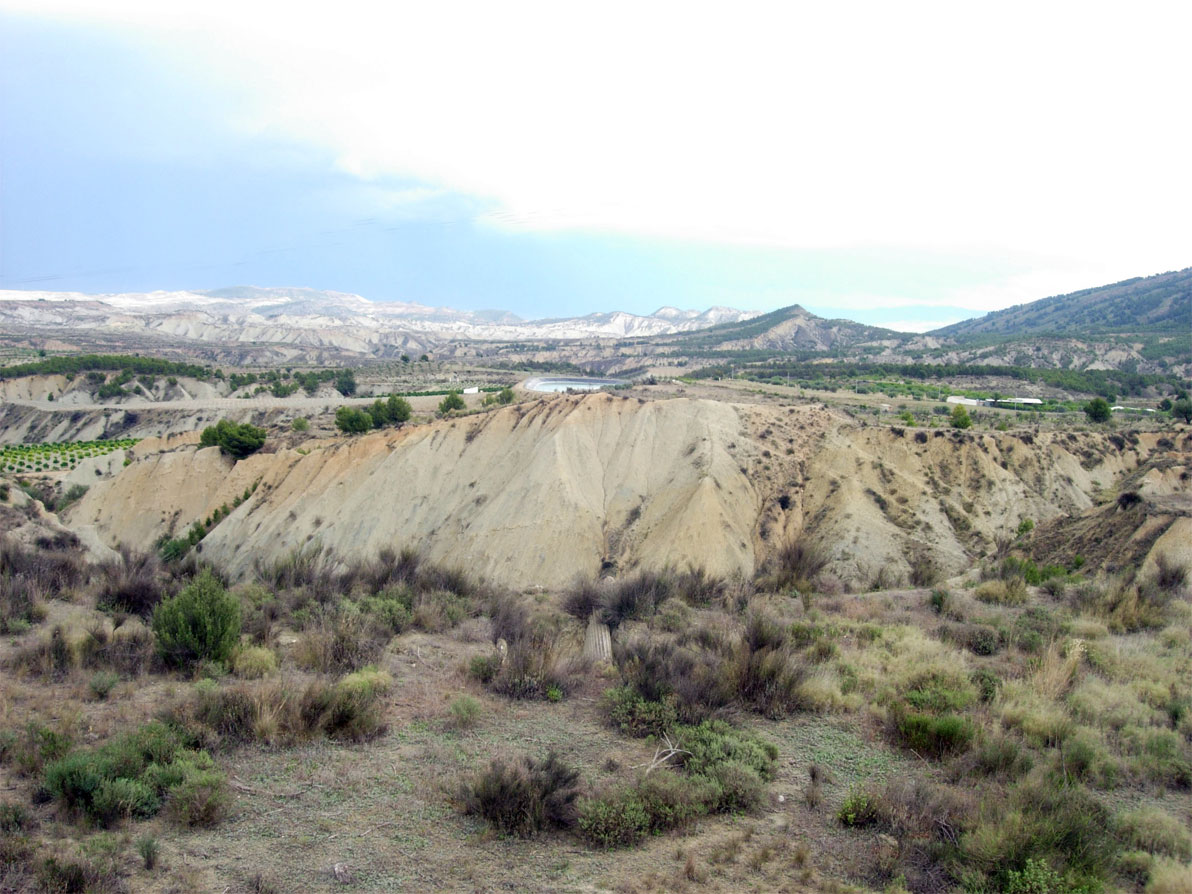 Paisaje lunar de los Barrancos de Gebas con tonos ocres y grises