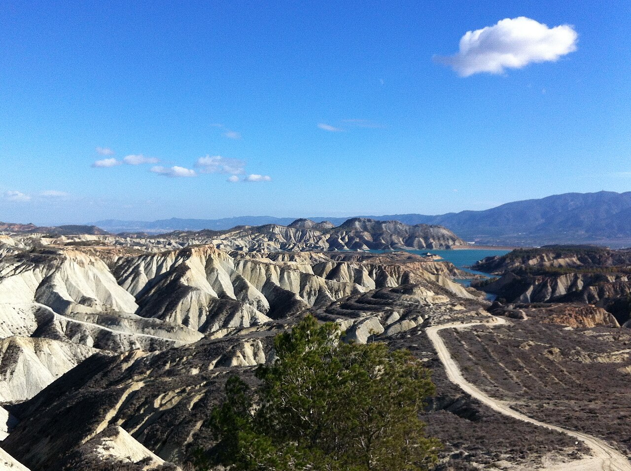 Vista panorámica del paraje protegido de los Barrancos de Gebas con el embalse al fondo