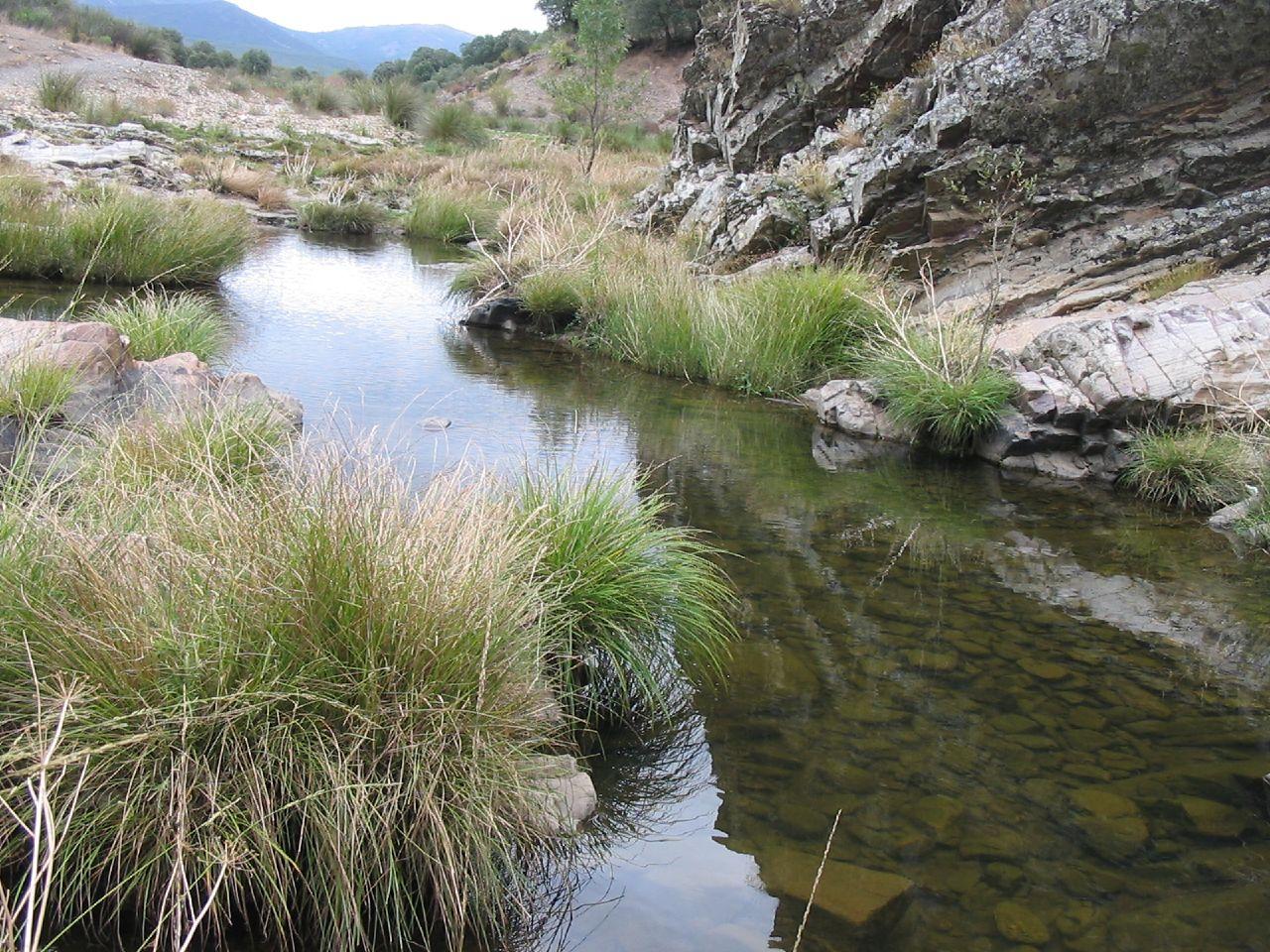 Río Estena y paisaje del Boquerón