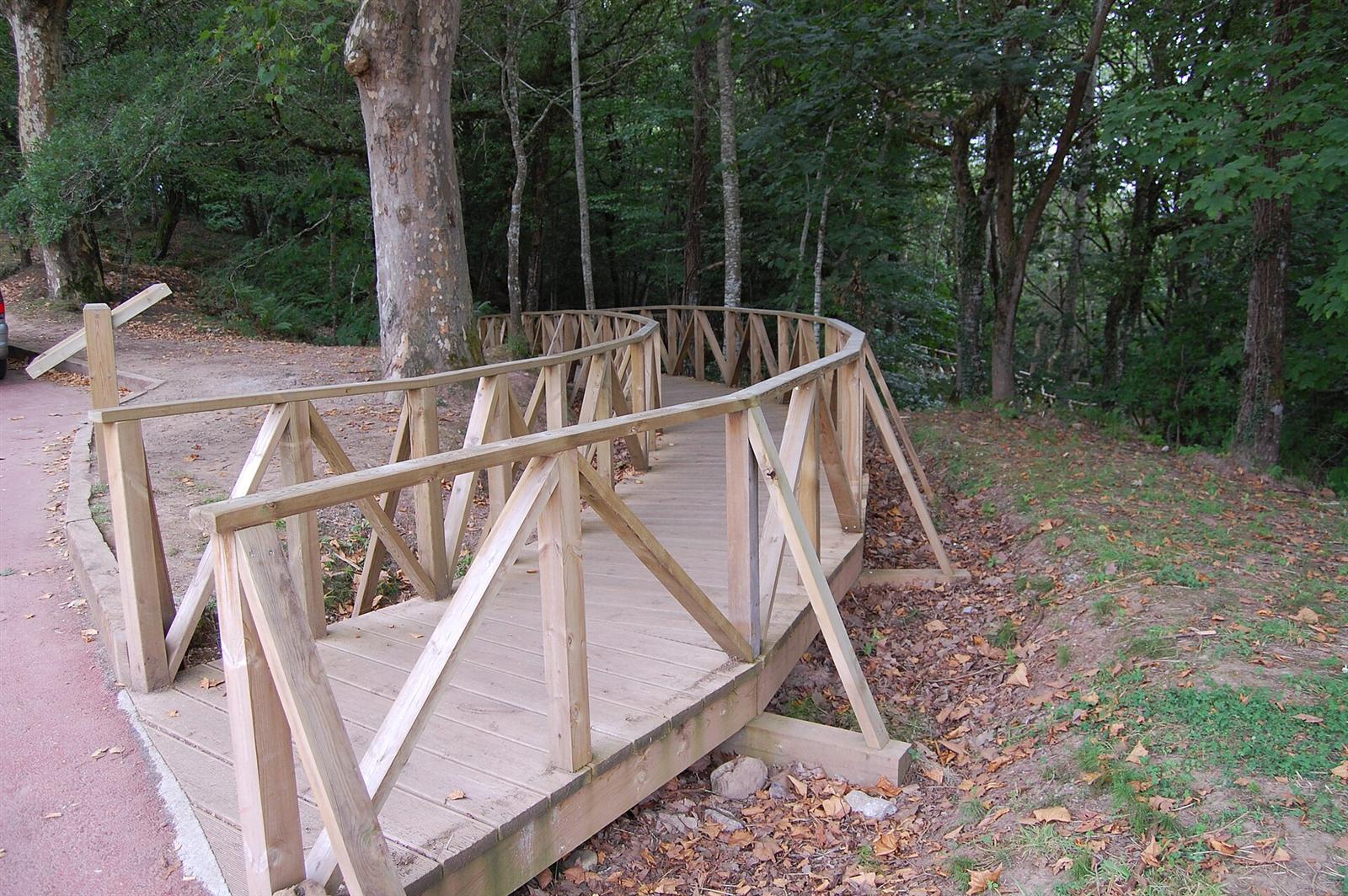 Pasarela de madera que protege las raíces en el tramo accesible del sendero