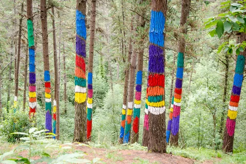 Bosque pintado de Oma de Agustín Ibarrola, Bizkaia: los árboles pintados de colores formando figuras en el bosque de Oma