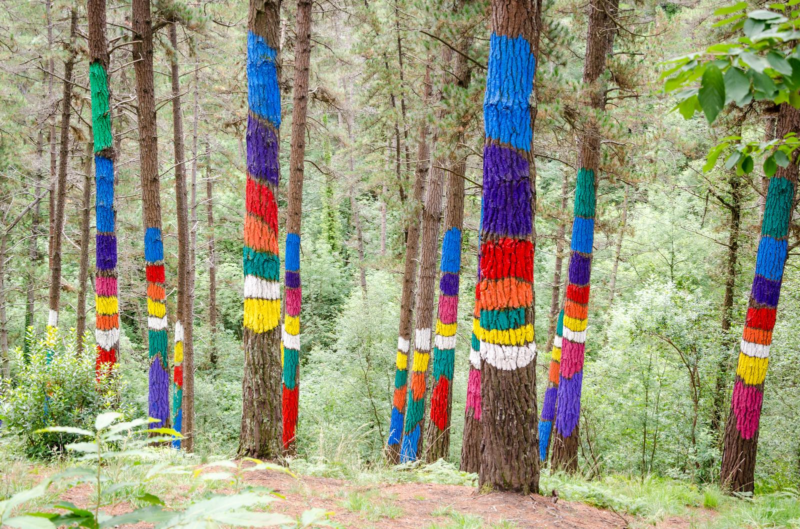 Troncos pintados del Bosque de Oma con figuras de Agustín Ibarrola, Kortezubi, Bizkaia, Reserva de la Biosfera de Urdaibai