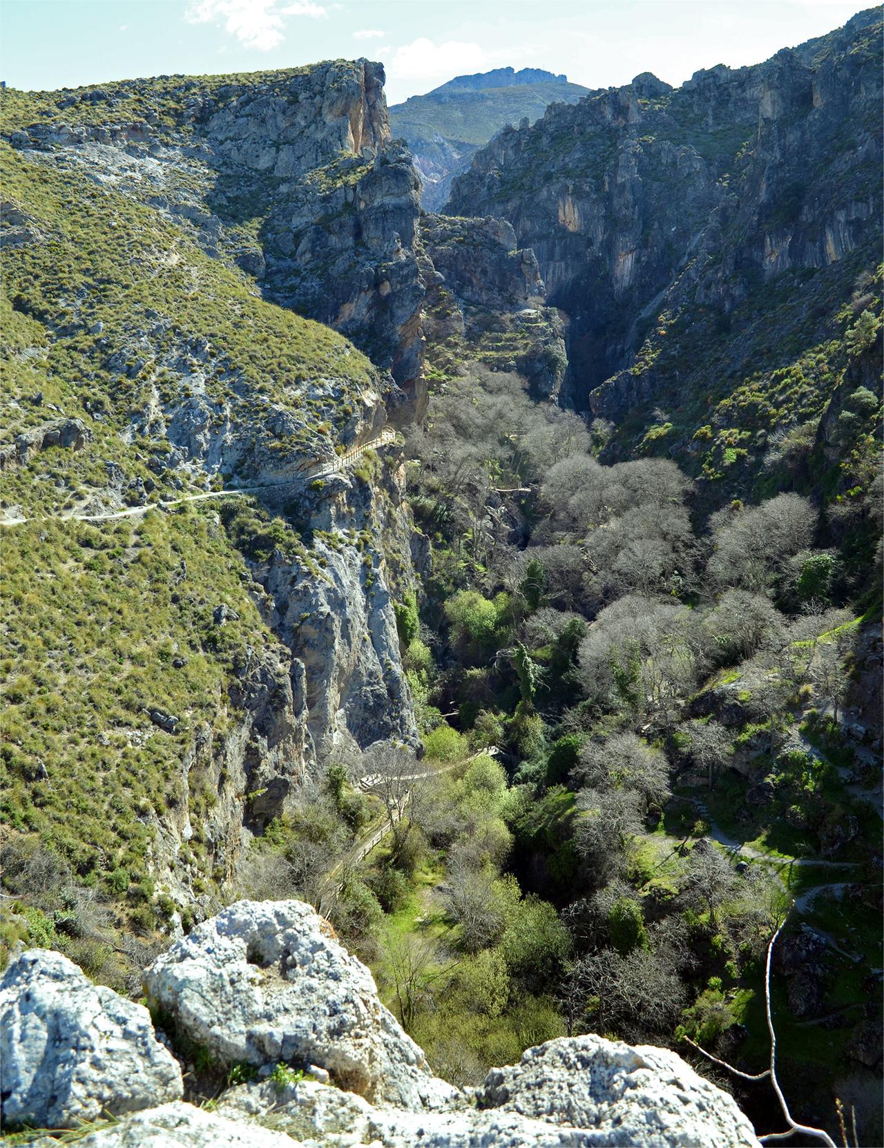 Vista del cañón boscoso de los Cahorros de Monachil, Granada