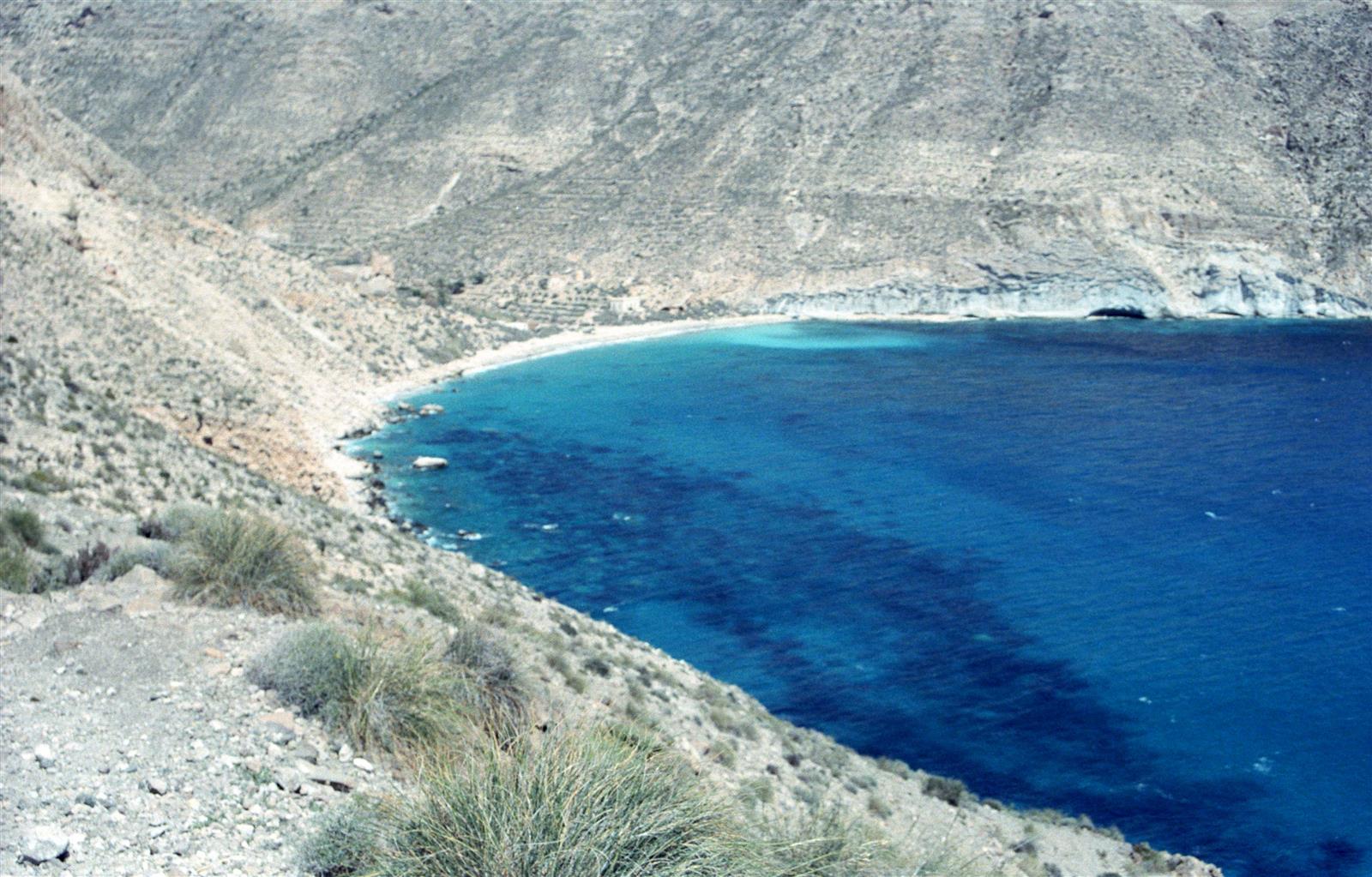 Valle interior de Cala de San Pedro con palmeras y montañas áridas del Cabo de Gata