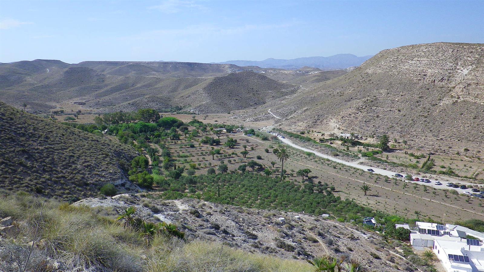 Rambla del Plomo con palmeras y pista de acceso a Cala del Plomo rodeada de montañas áridas