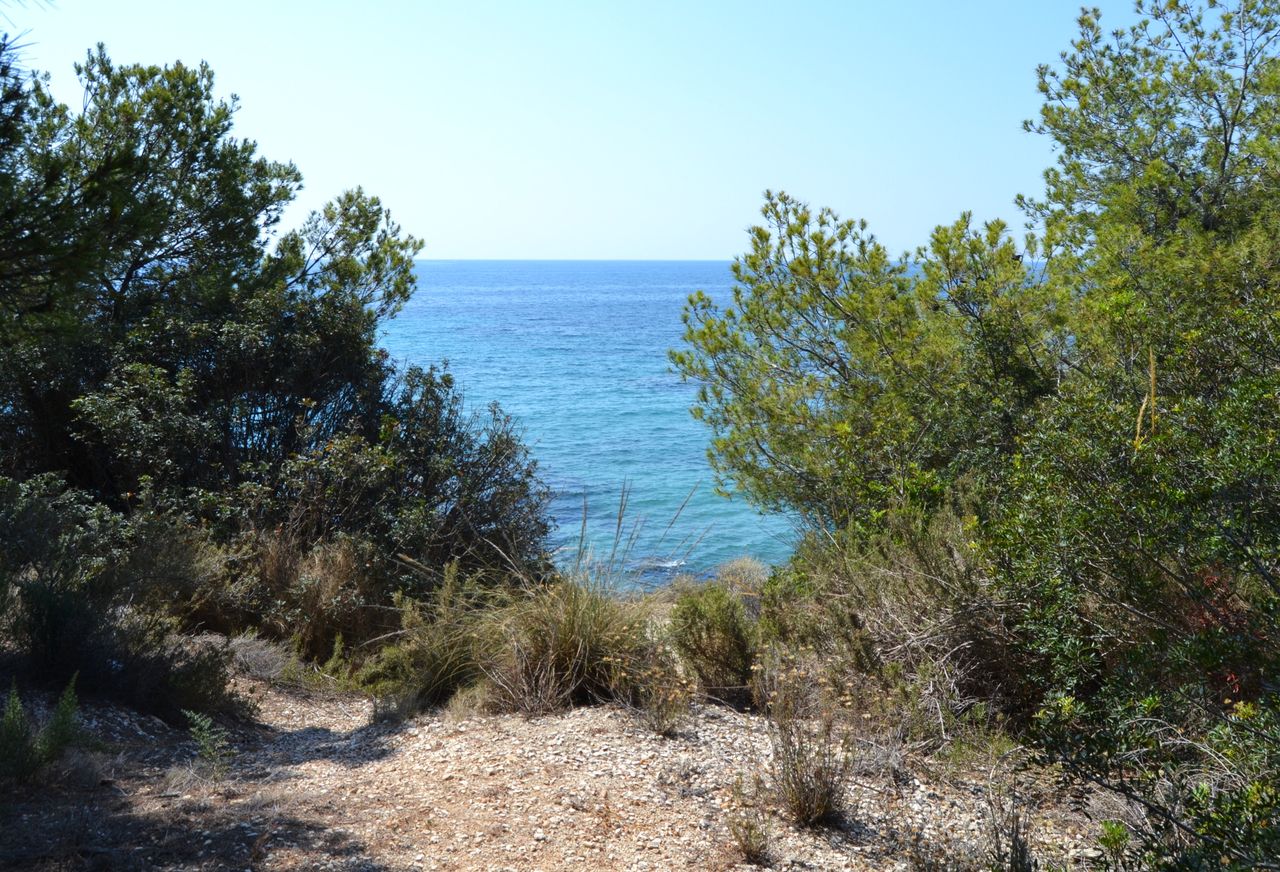 Vegetación mediterránea en los acantilados de la Cala de la Fustera