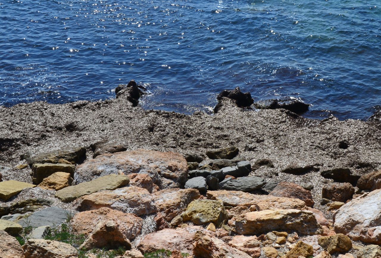 Orilla rocosa de la Cala dels Pinets con agua transparente