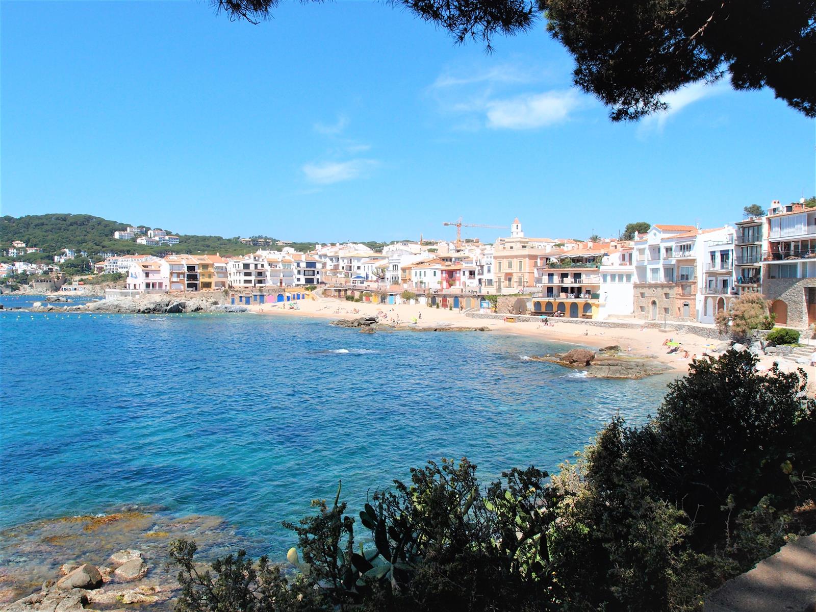 Vista desde los pinos sobre la bahía de Calella de Palafrugell y las playas de la Costa Brava