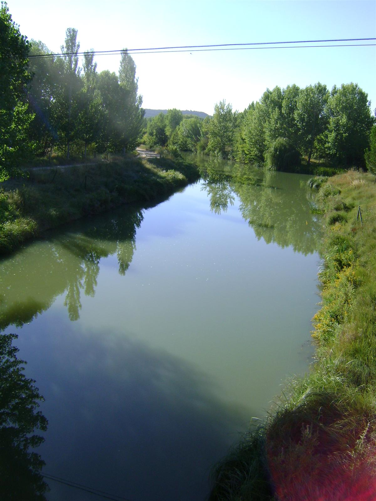 Canal de Castilla visto desde el puente de Frómista, con el camino de sirga y chopos a ambas orillas