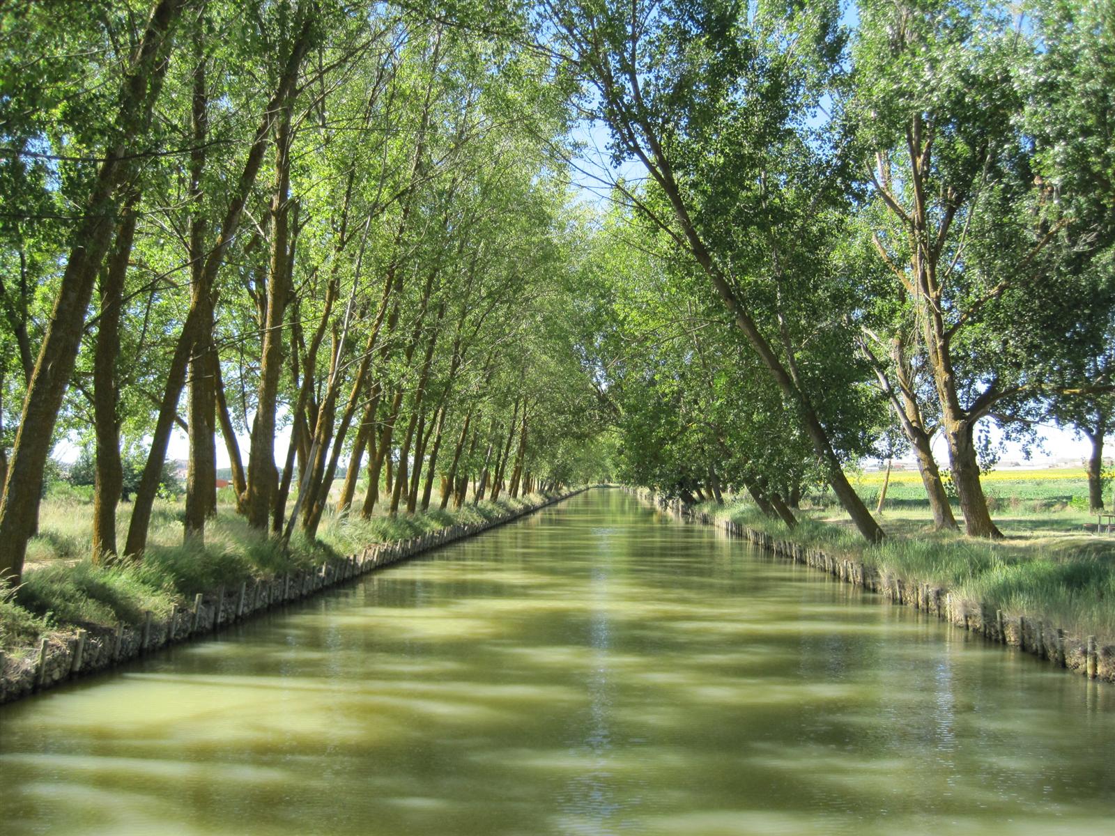 Panorámica del Canal de Castilla en Tierra de Campos, Palencia, con campos al fondo