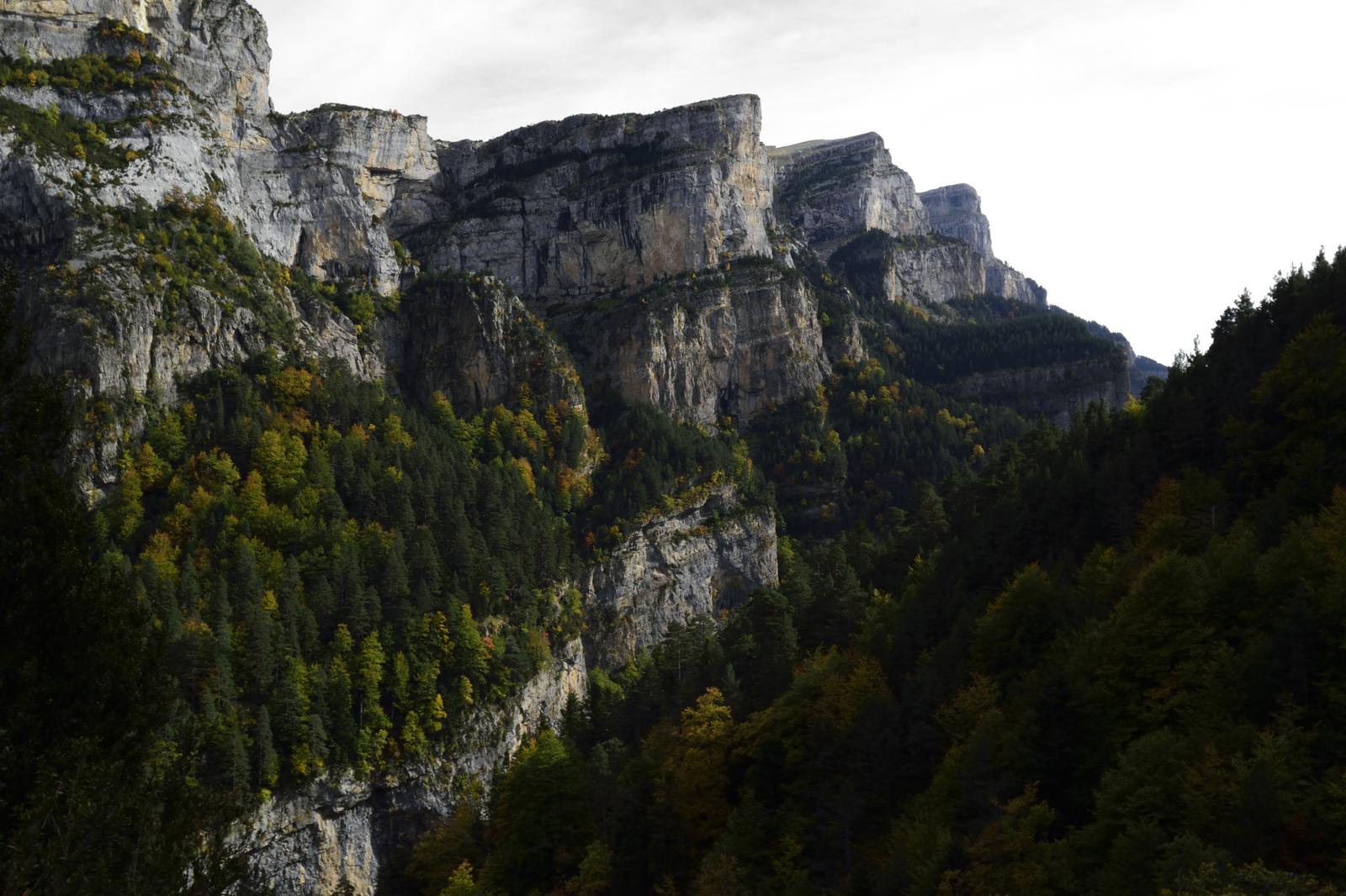 Paredes verticales del Cañón de Añisclo