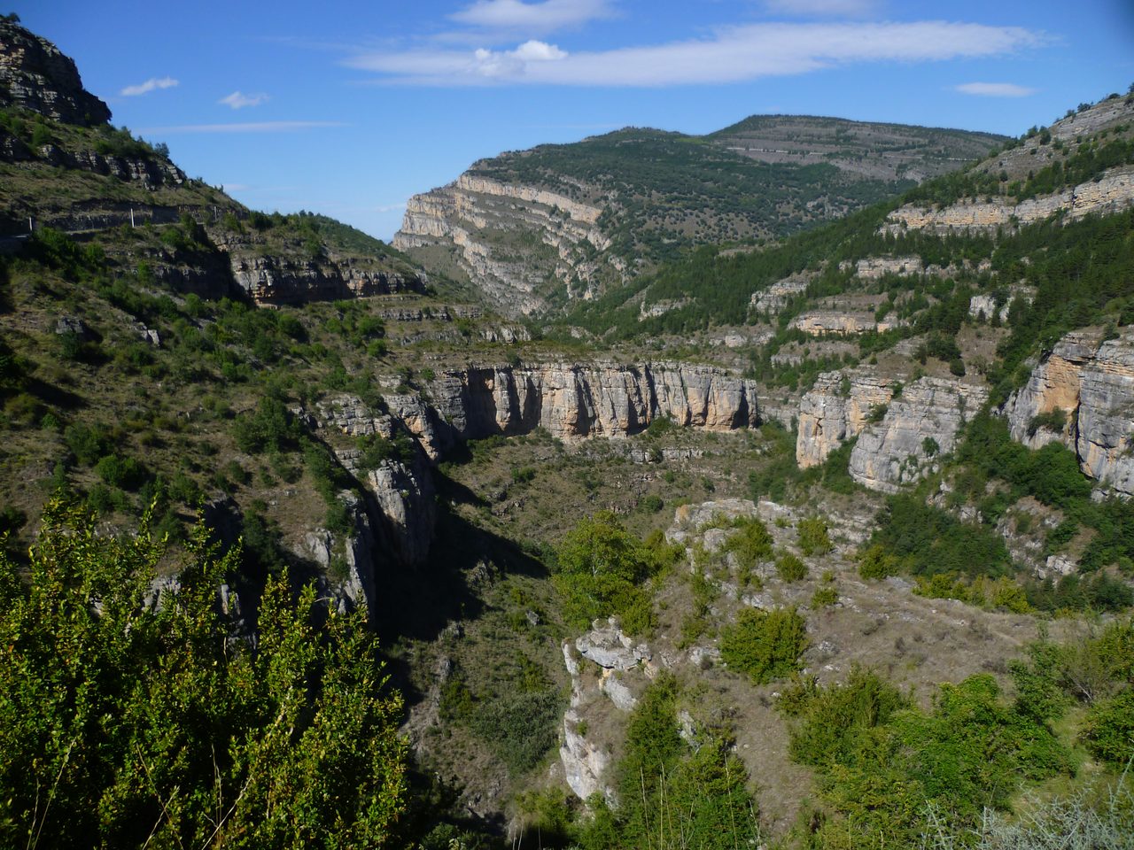 Paisaje del Cañón del Río Leza en verano con el río y la vegetación riparia en la garganta