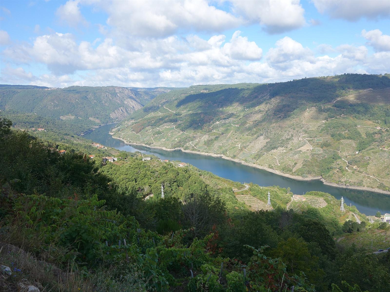 El río Sil serpenteando entre las laderas de viñedos en terrazas