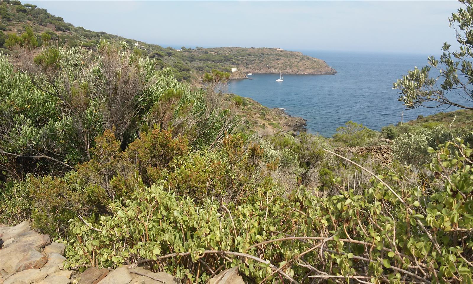 Bahía tranquila en el entorno del Cap de Creus con vegetación mediterránea y aguas azules, Girona