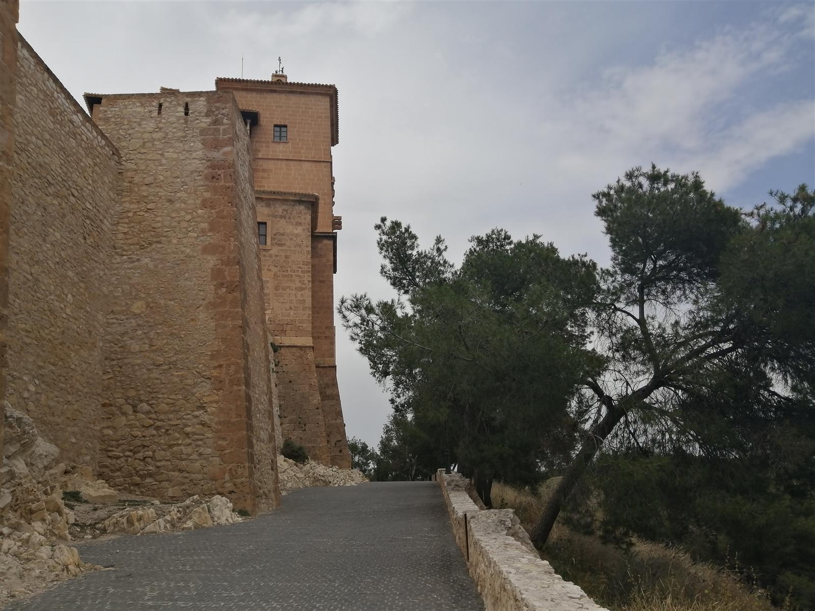 Torre del homenaje del castillo de Caravaca entre pinos