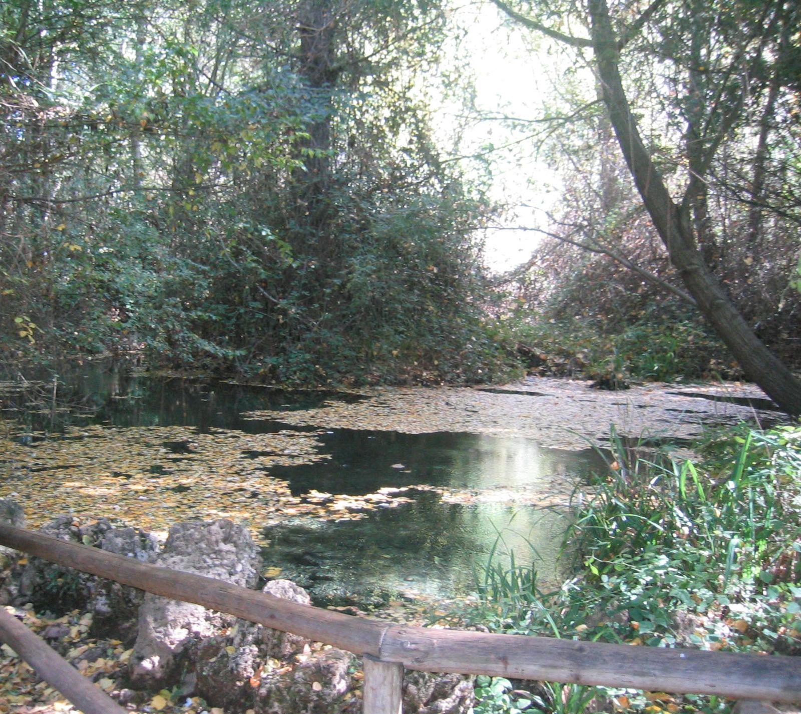 Nacimiento del río Huéznar entre pinares de la Sierra Norte de Sevilla