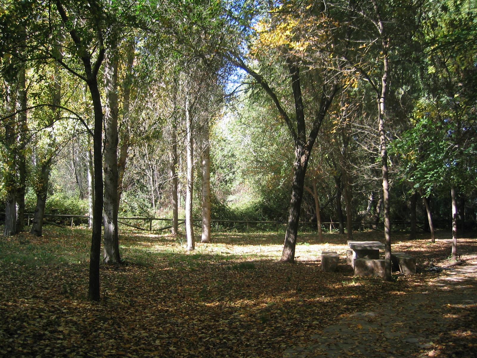 Paraje del nacimiento del Huéznar con vegetación de ribera
