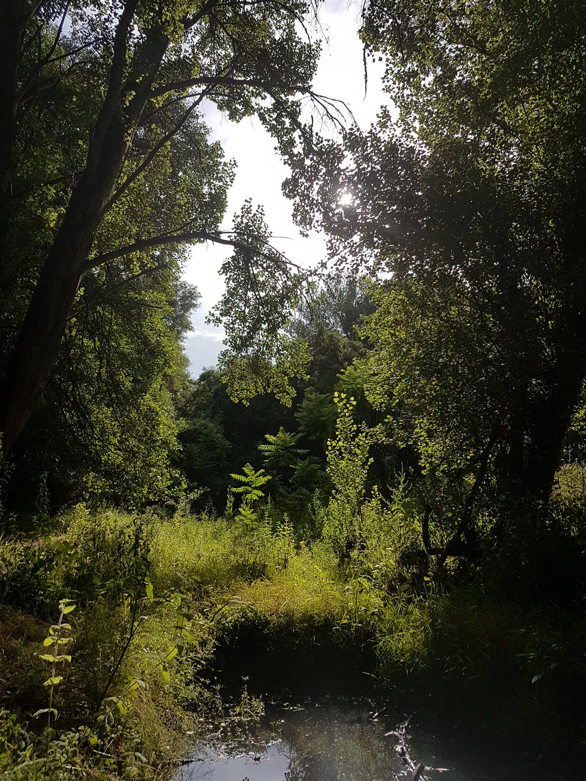 Pozas y remansos del río Huéznar en su zona protegida