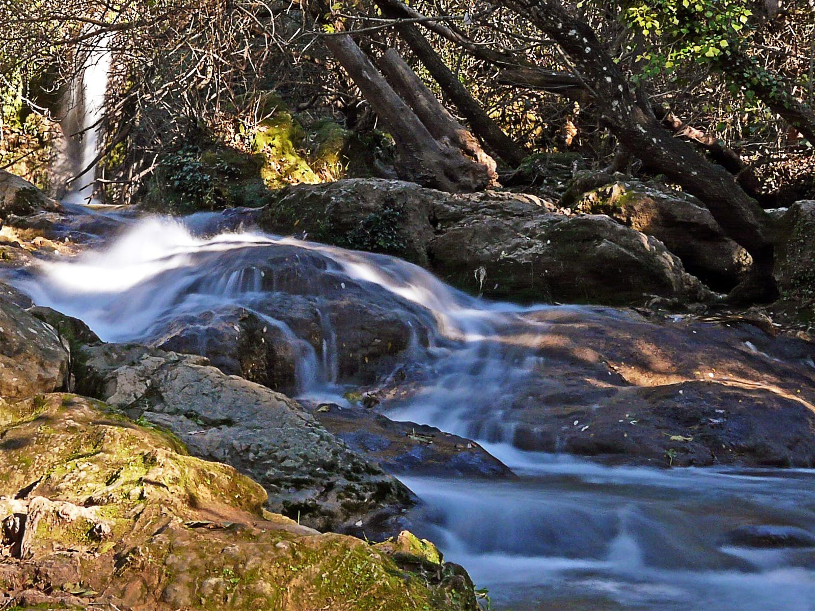 Cascadas de toba entre vegetación de ribera en el Huéznar, San Nicolás del Puerto