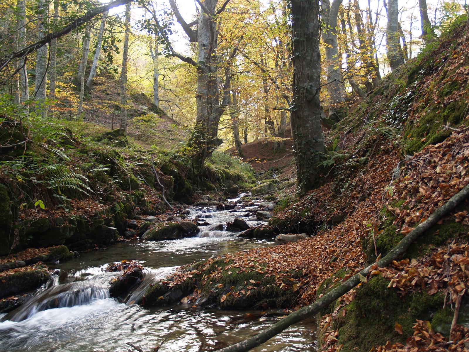 Arroyo en la zona de Achichuelo, en la ruta de acceso
