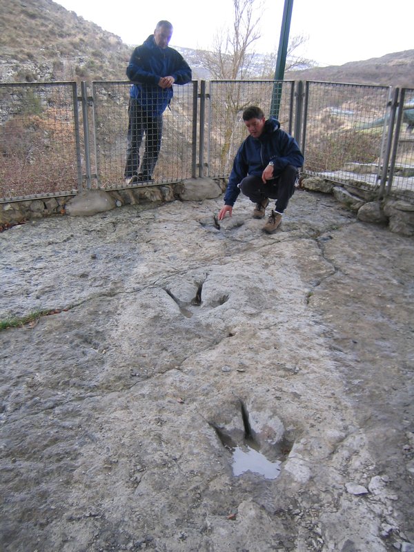 Icnitas de dinosaurio en el yacimiento de Valdecevillo, Enciso, La Rioja: huellas fosilizadas sobre superficie rocosa del Cretácico Inferior