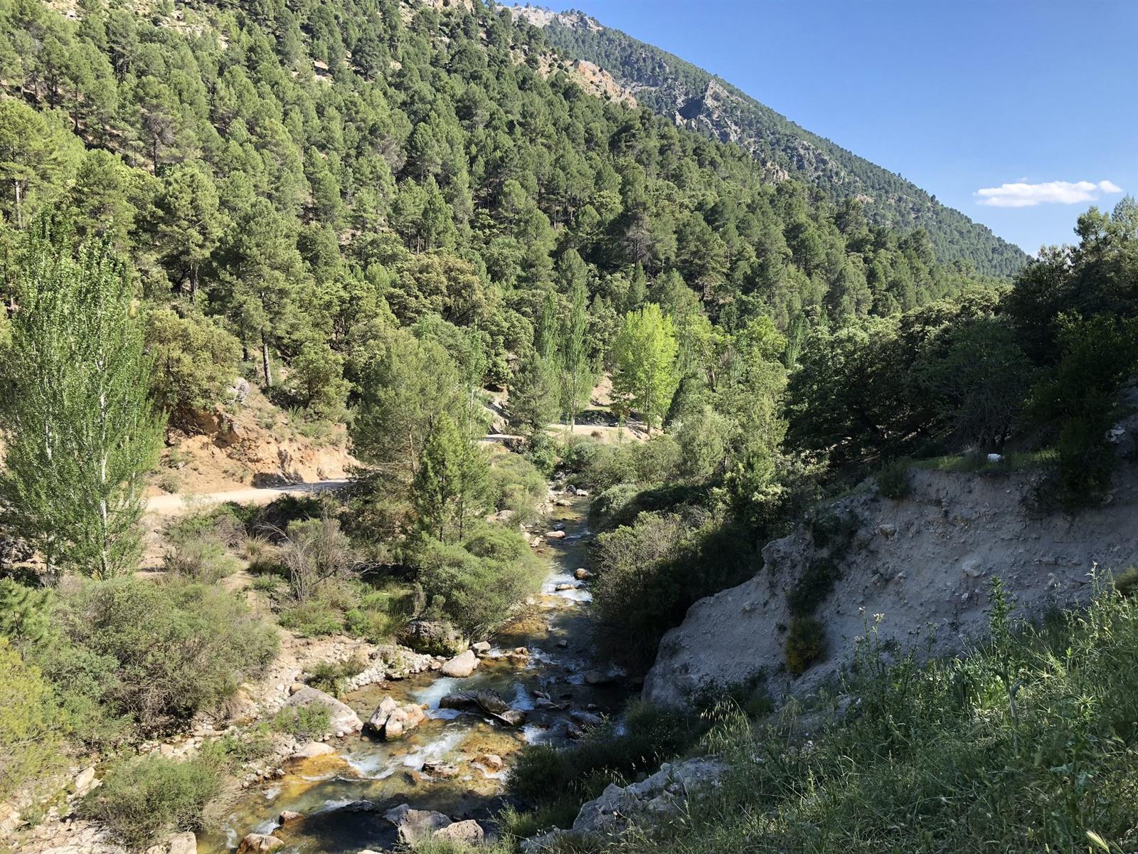 El Río Castril discurriendo por el interior del cañón, Parque Natural Sierra de Castril