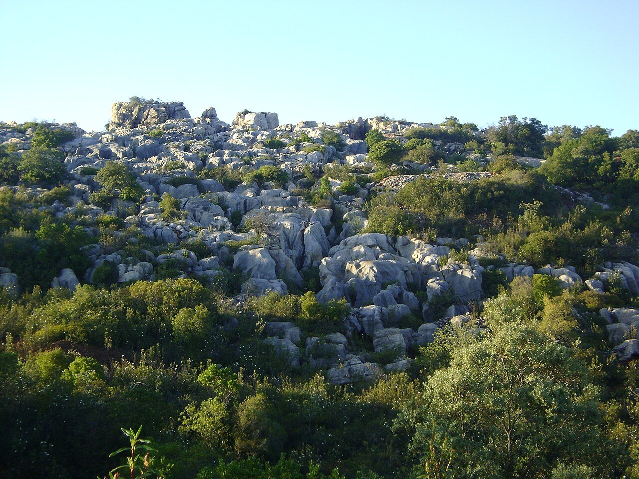 Formación kárstica del Cerro del Hierro, Sierra Norte de Sevilla