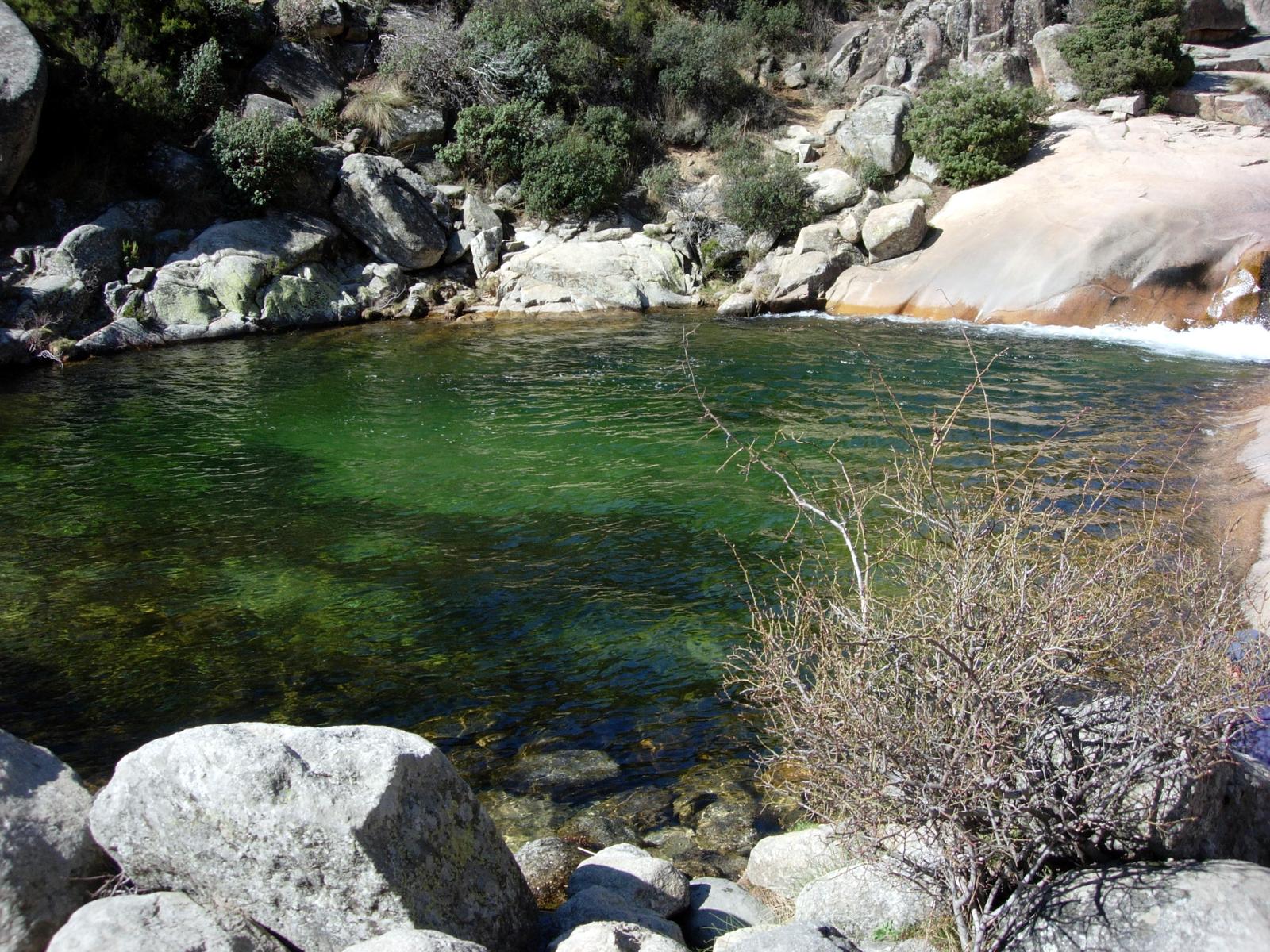 Vista cercana de la Charca Verde en La Pedriza