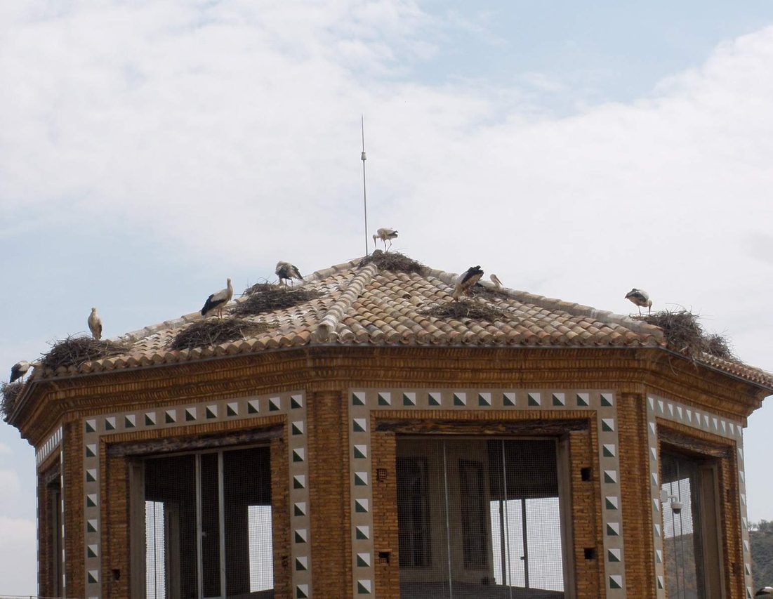 Cimborrio de la Colegiata de San Miguel de Alfaro coronado por nidos de cigüeña blanca