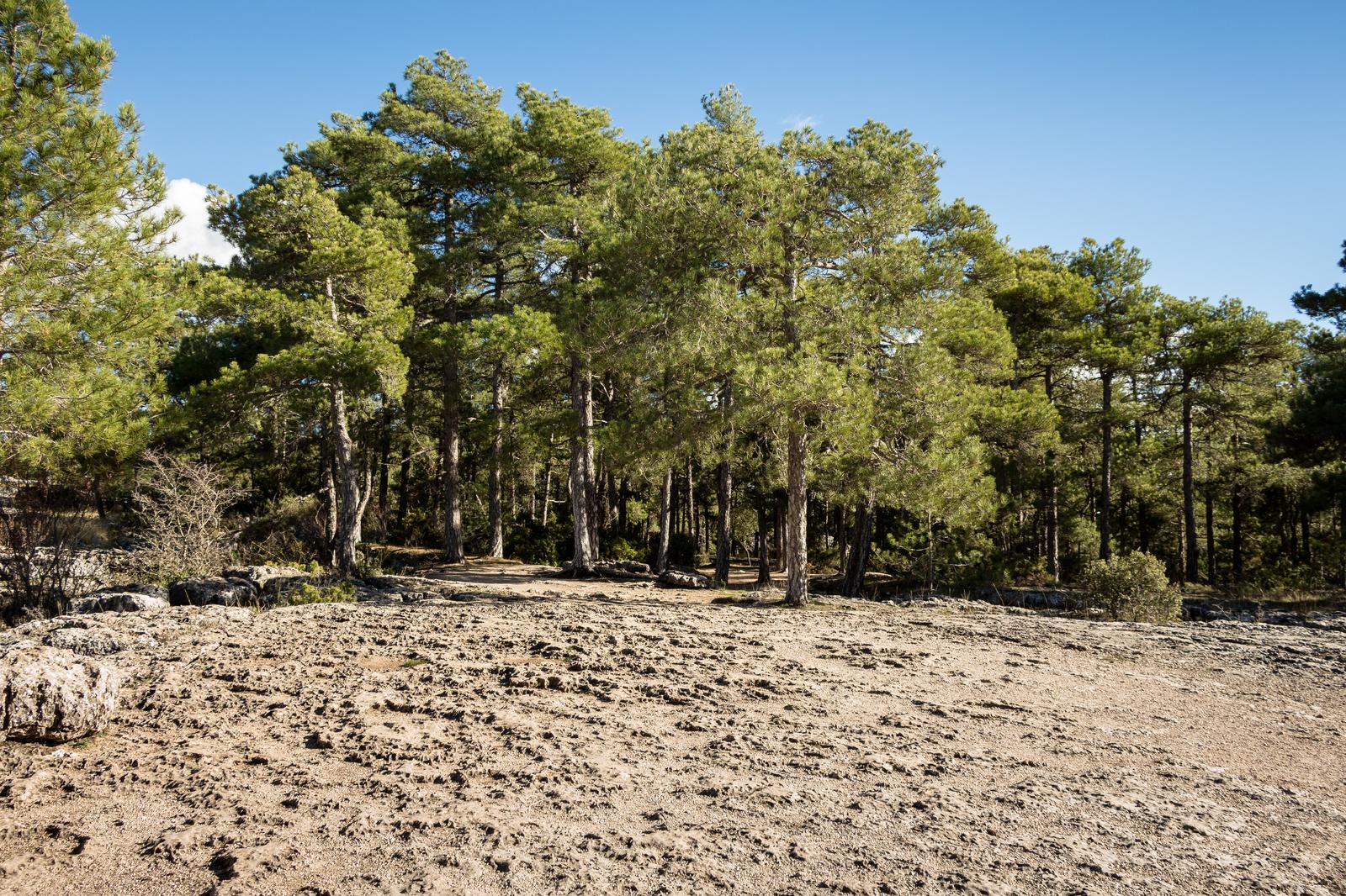El Mar de Piedras, una de las zonas del recorrido con mayor densidad de formaciones