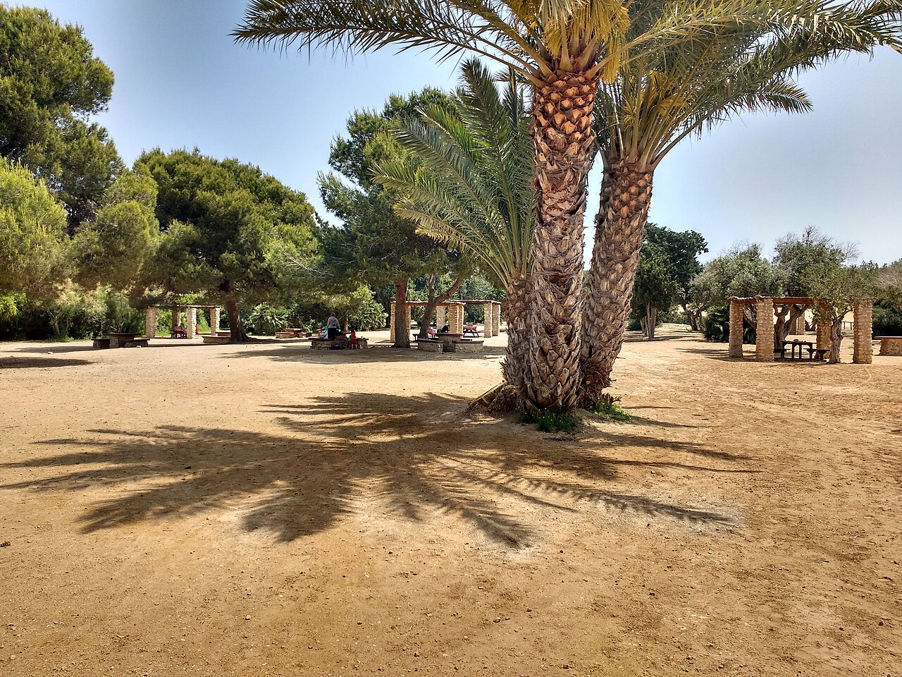 Zona de descanso y sendero del Clot de Galvany, paraje natural de Alicante