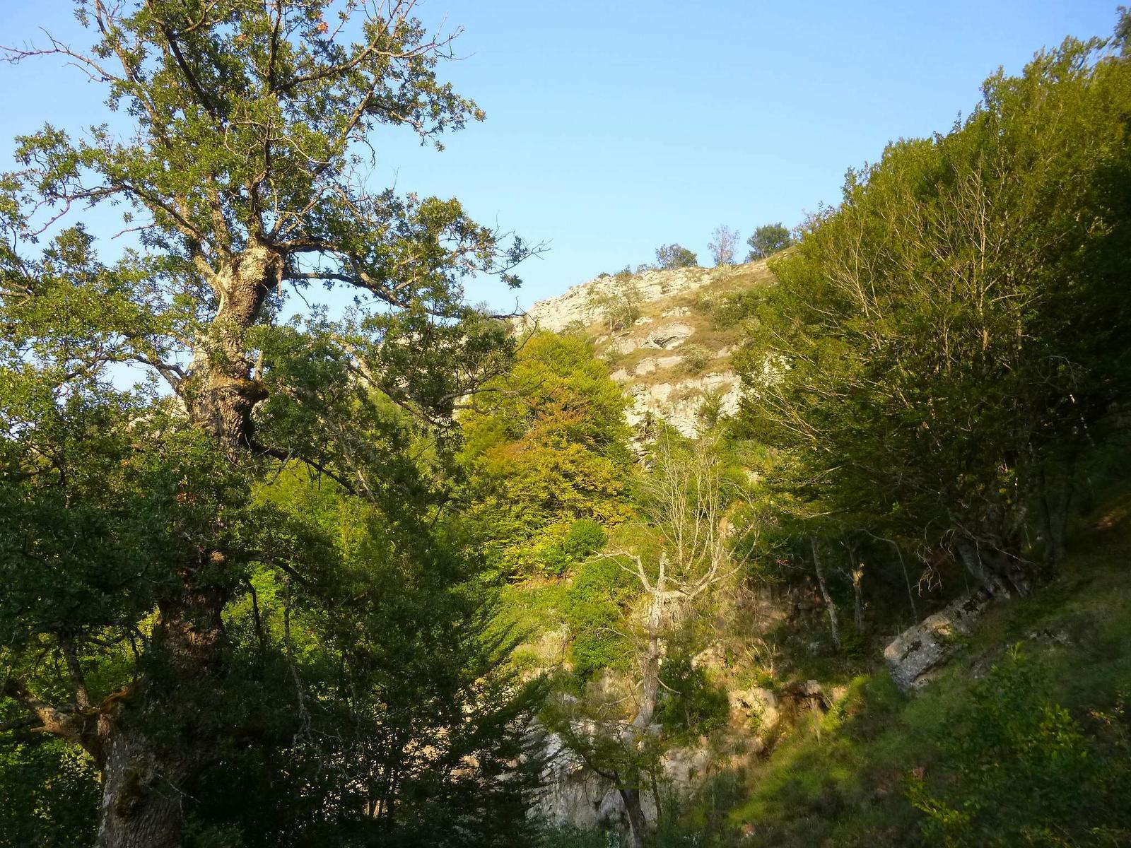 Paisaje kárstico del entorno de Covalagua