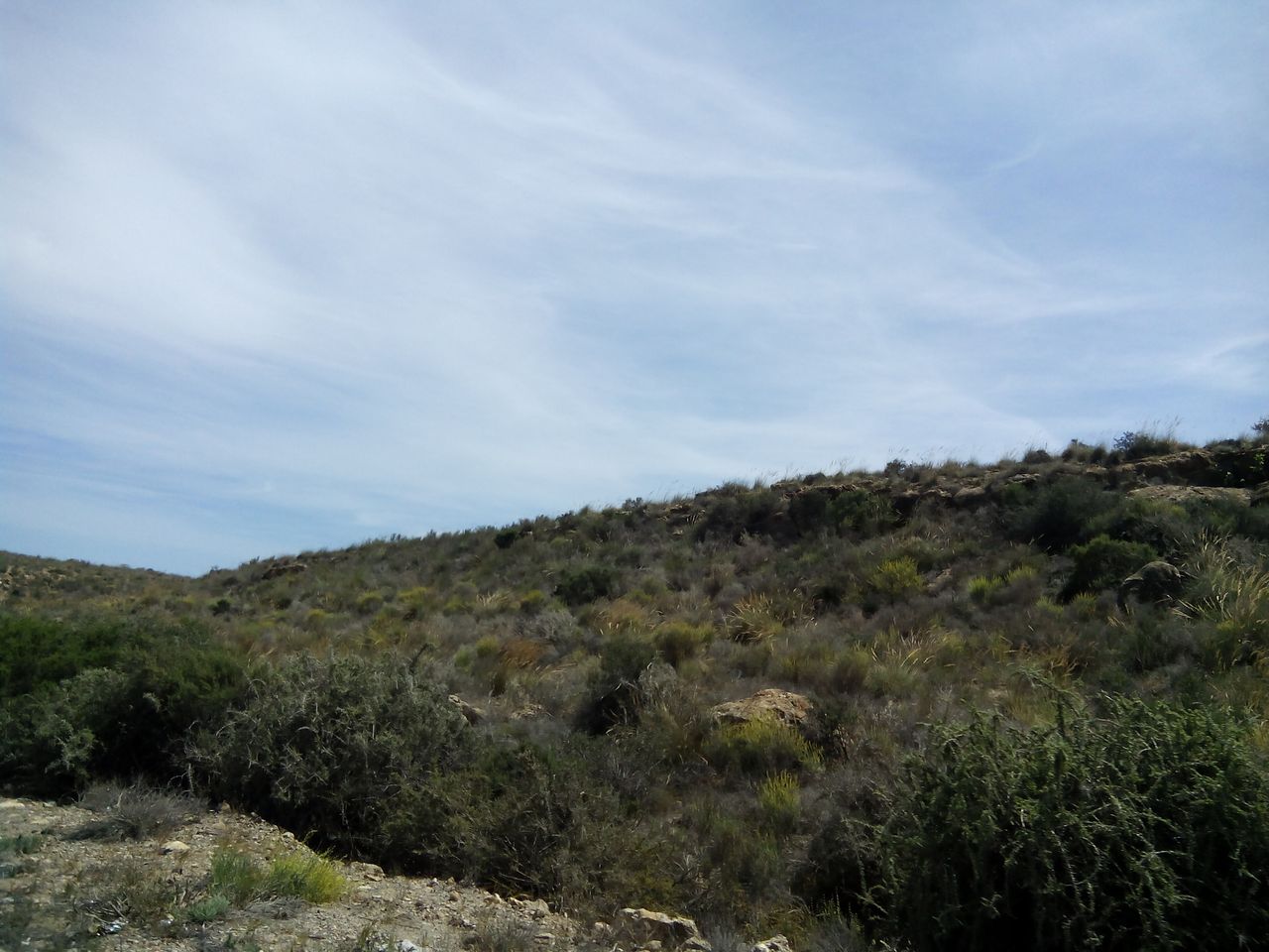 Panorámica del Paisaje Protegido de Cuatro Calas en Águilas, Murcia