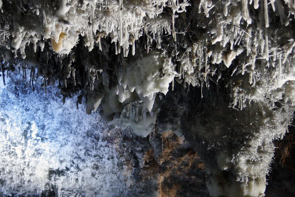 Helictitas de calcita en el interior de la cueva, formaciones ramificadas en todas direcciones