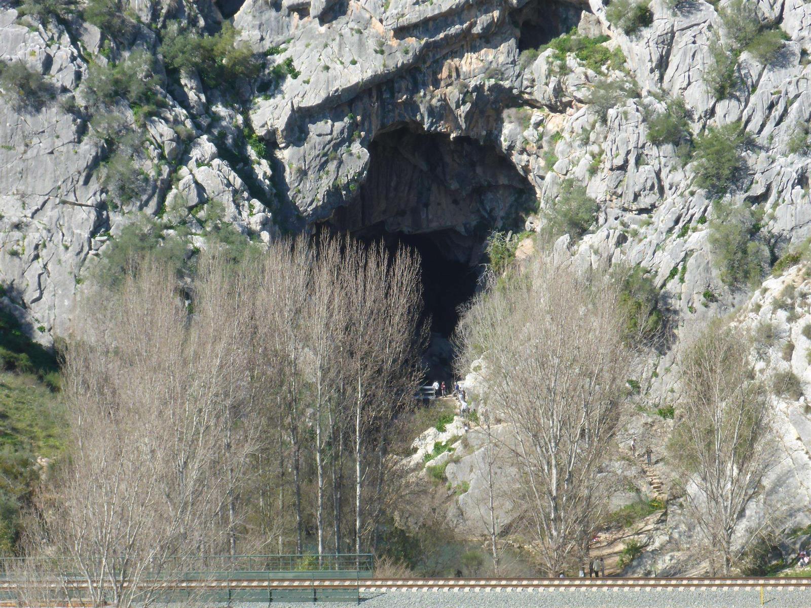 Boca monumental de la Cueva del Gato en Benaoján, Málaga: arco de roca sobre los árboles, vista desde el sendero de acceso
