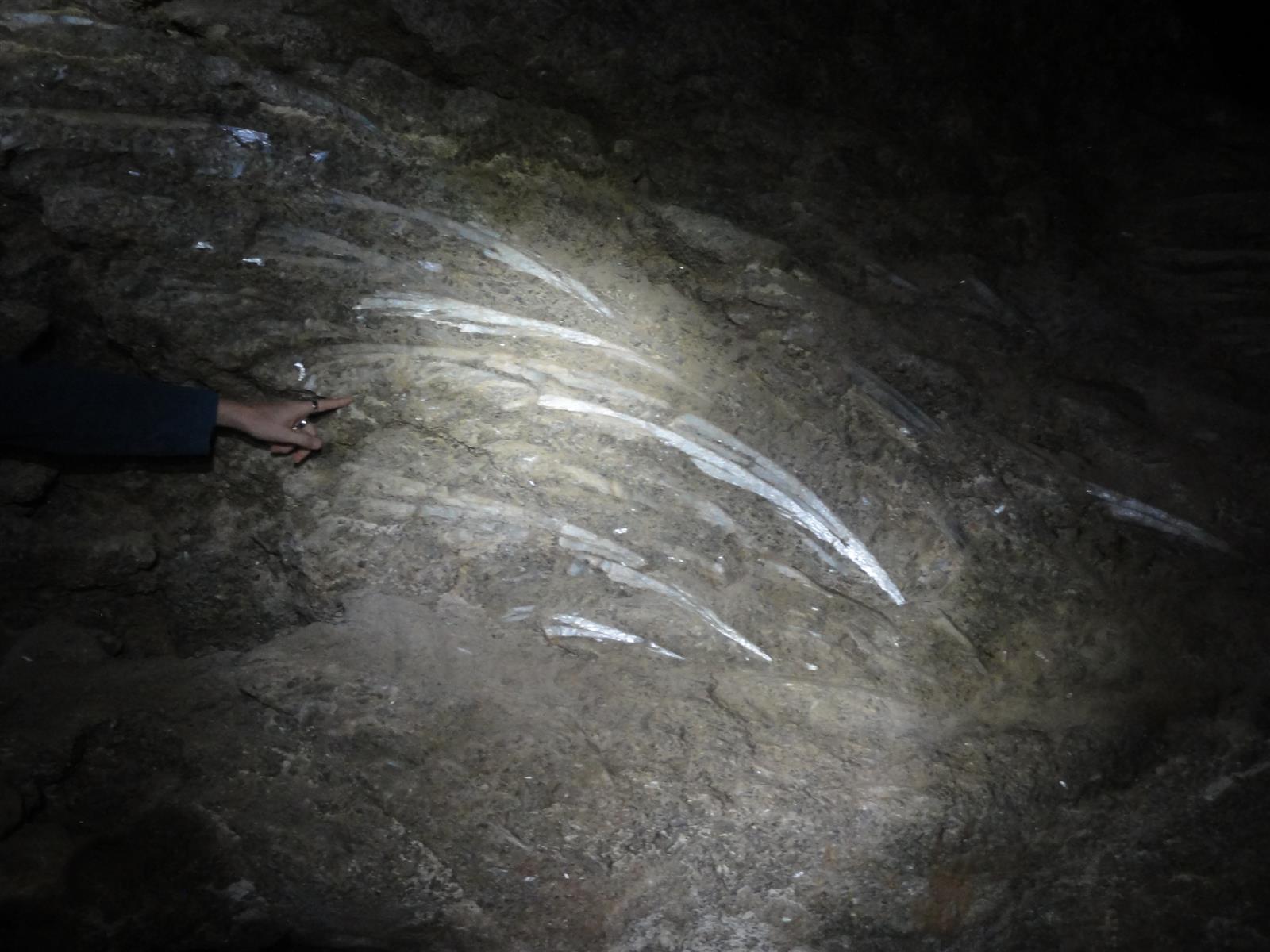 Cristales de selenita (yeso transparente) en el interior de una cueva de Sorbas, formaciones geológicas únicas del karst en yeso, Almería