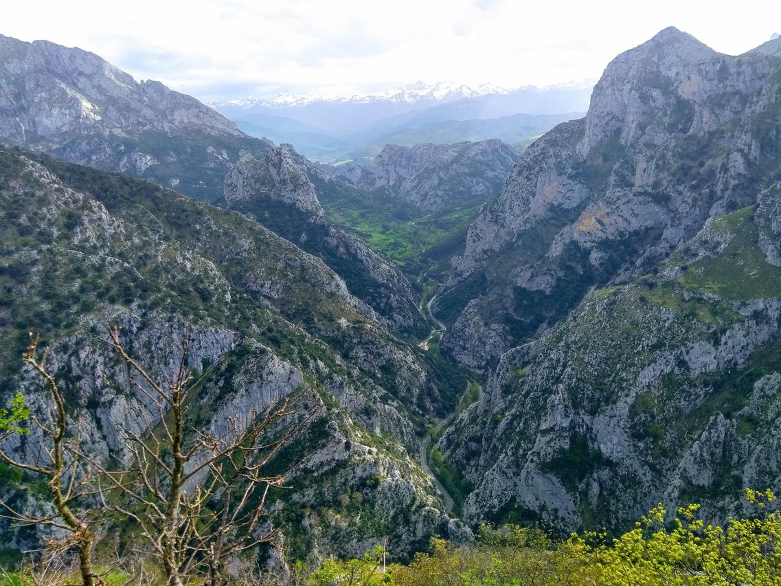 Paredes calcáreas del Desfiladero de la Hermida con la carretera N-621, Cantabria
