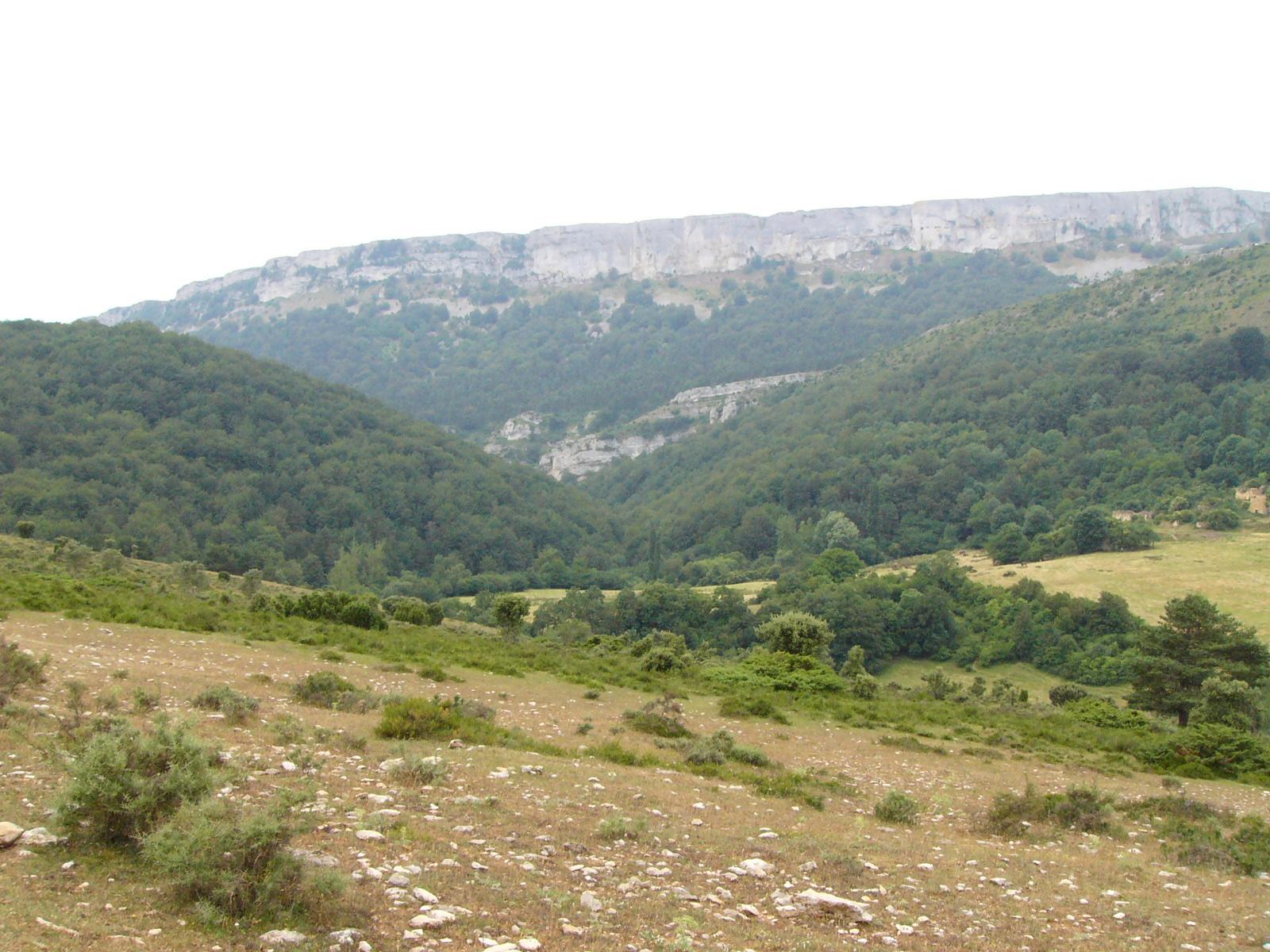 Paisaje del Parque Natural de Valderejo con cortados calizos