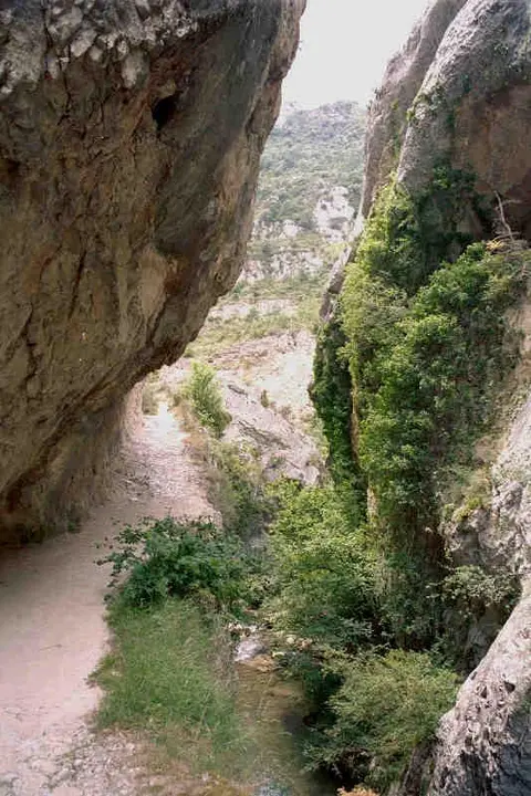 Desfiladero del Purón en el Parque Natural de Valderejo, cañón calizo con buitres y flora rupícola, Álava, País Vasco