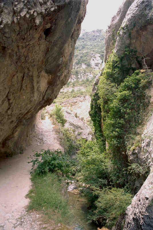 Interior del desfiladero del río Purón, sendero junto al cauce