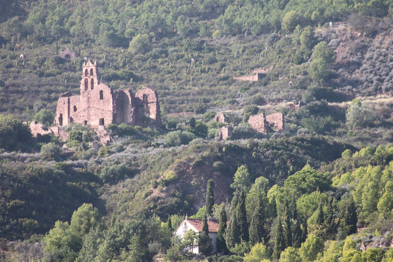 Bosque mediterráneo del Parque Natural Desierto de las Palmas, Castellón