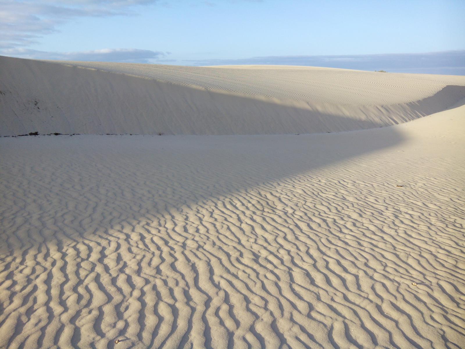 Campo dunar, arena y horizonte