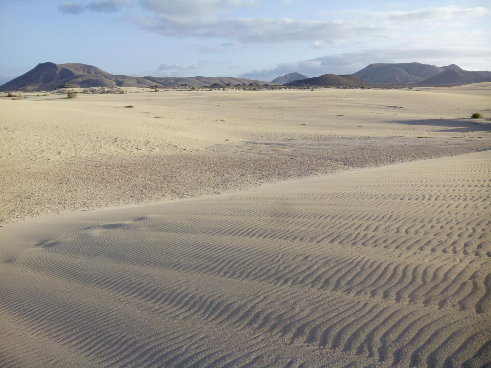 Textura de arena movida por el viento